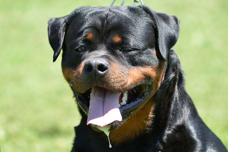 Yumbo von der Alten Festung Yumbo von der Alten Festung